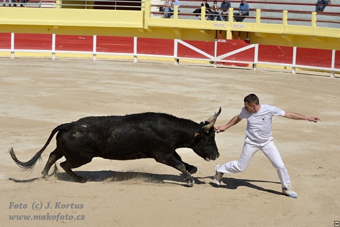 D80_6372.jpg