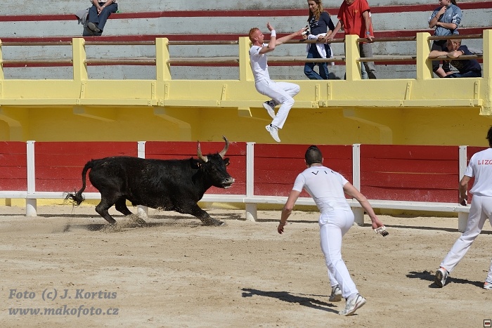 D80_6484.jpg