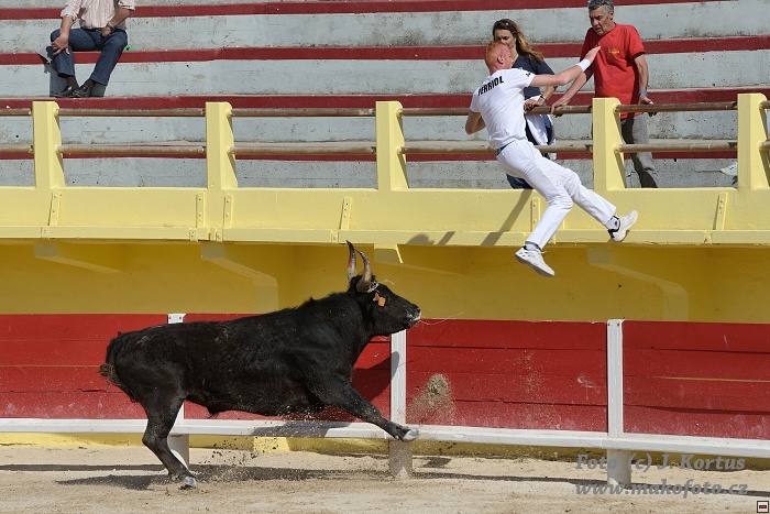 D80_6498.jpg