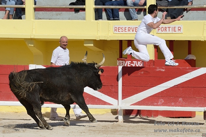 D80_6532.jpg