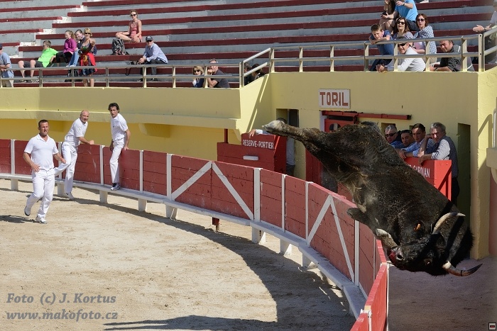 D80_6536.jpg
