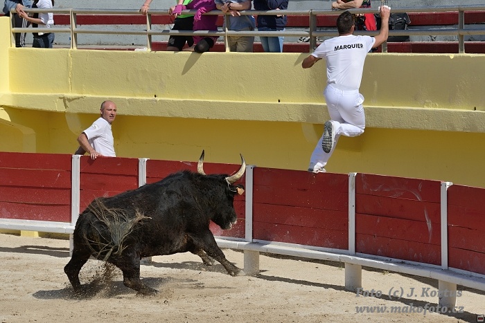 D80_6576.jpg