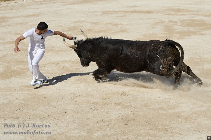 D80_6584.jpg