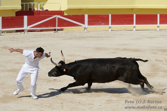 D80_6799.jpg