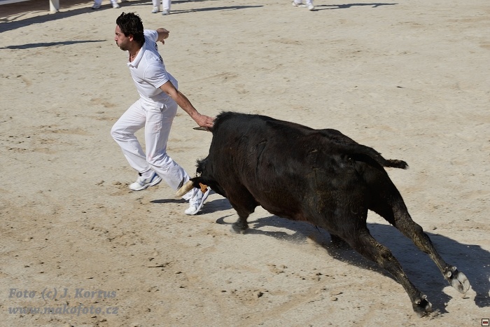 D80_6810.jpg