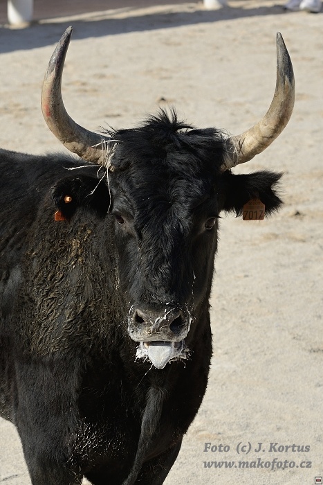 D80_6920.jpg