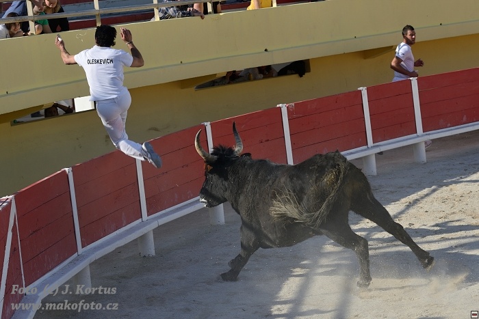 D80_6946.jpg
