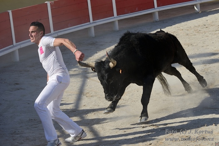 D80_6949.jpg