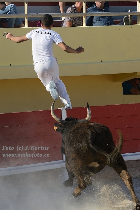 D80_7014.jpg