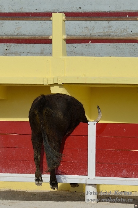 D80_7020.jpg