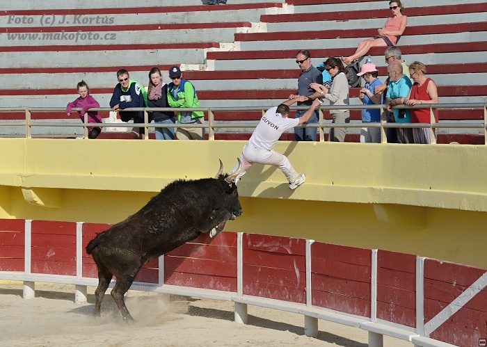 D80_7046.jpg