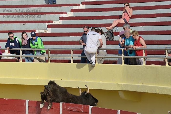 D80_7048.jpg