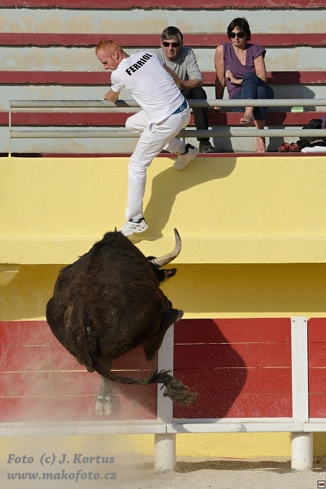 D80_7080.jpg