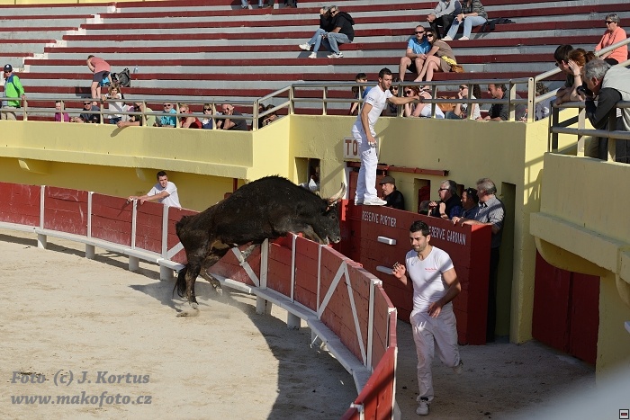 D80_7086.jpg
