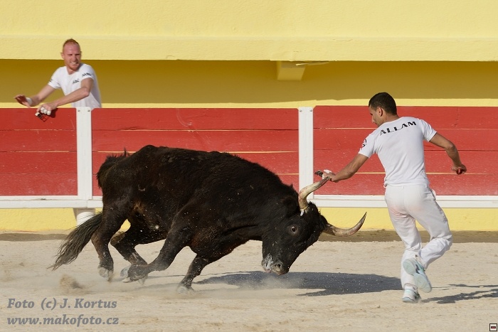 D80_7094.jpg