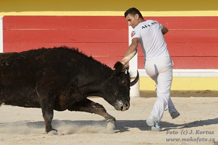 D80_7095.jpg