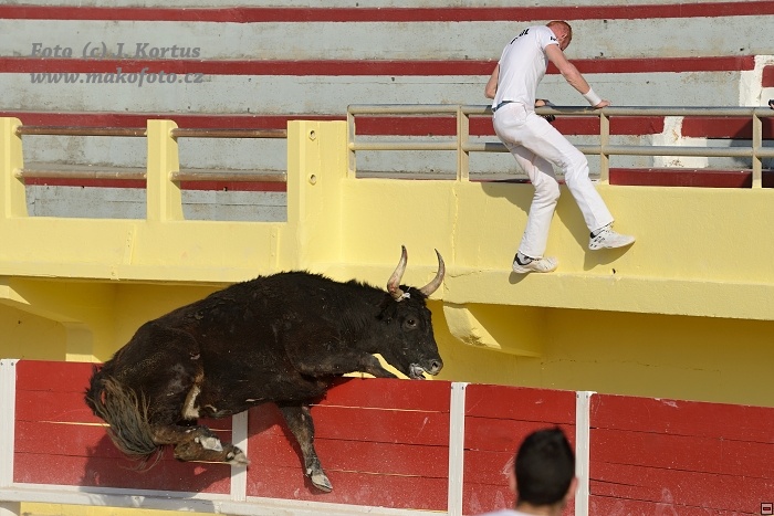 D80_7105.jpg