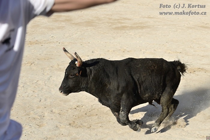 D80_7122.jpg