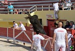 thn_D80_6545.jpg