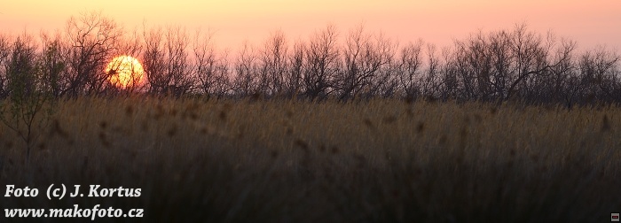 D80_7159.jpg