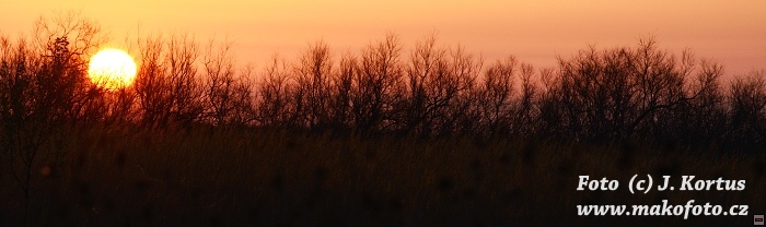 D80_7162.jpg