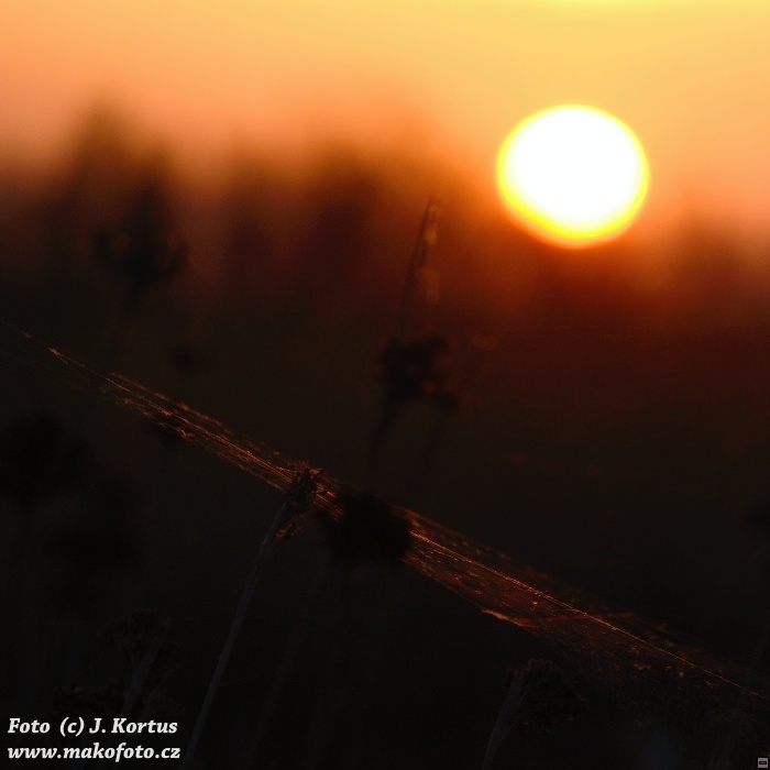 D80_7165.jpg