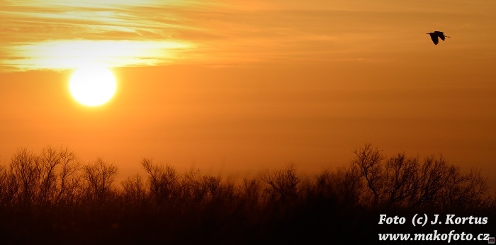 D80_7185.jpg