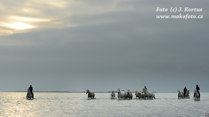 D80_7465.jpg