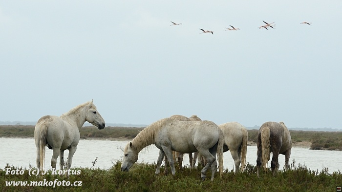 D80_7524.jpg