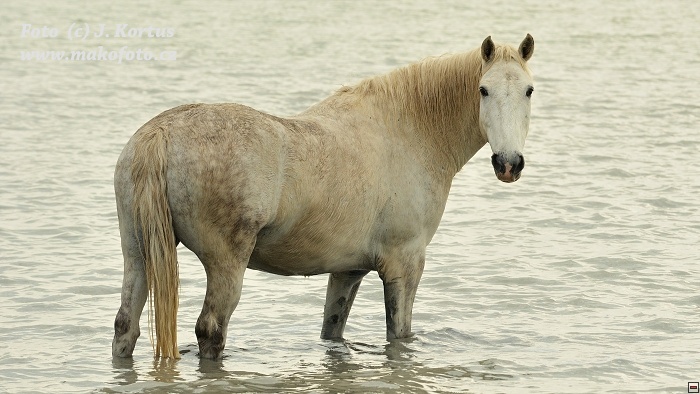 D80_7576.jpg