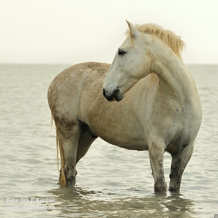 D80_7584.jpg