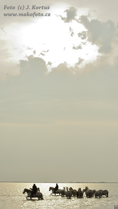 D80_7621.jpg