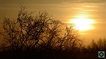 thn_D80_7193.jpg