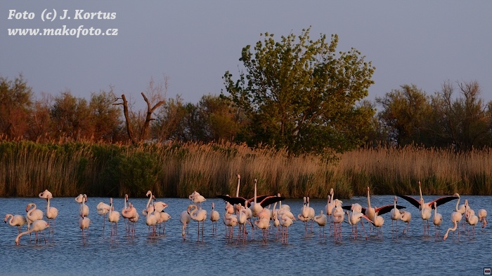 D80_5890.jpg