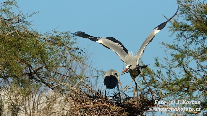 DSC_7827.jpg