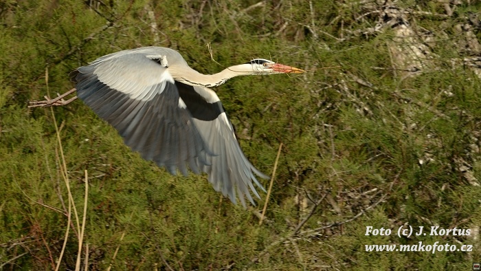 DSC_7846.jpg