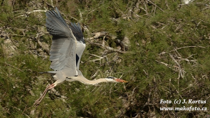 DSC_7848.jpg