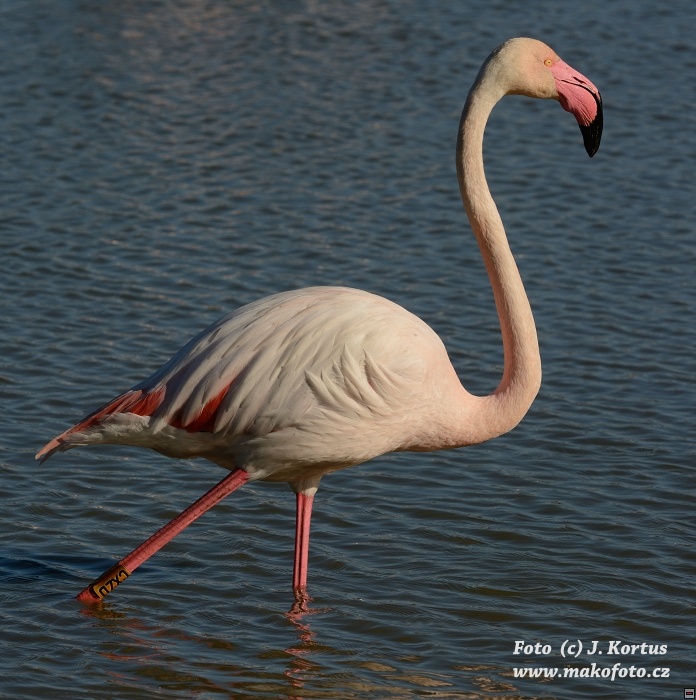 DSC_7910.jpg