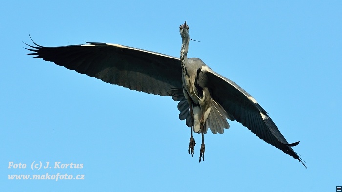 DSC_8115.jpg