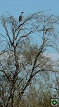 thn_DSC_7783.jpg