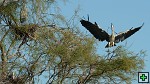 thn_DSC_7790.jpg