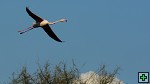thn_DSC_7814.jpg