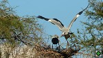 thn_DSC_7827.jpg