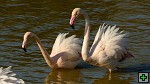 thn_DSC_7832.jpg
