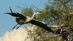 thn_DSC_7835.jpg