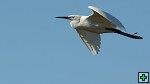 thn_DSC_7843.jpg