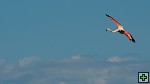 thn_DSC_7888.jpg