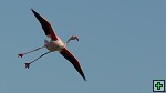 thn_DSC_7893.jpg