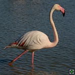 thn_DSC_7910.jpg