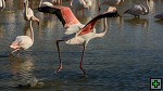 thn_DSC_7920.jpg